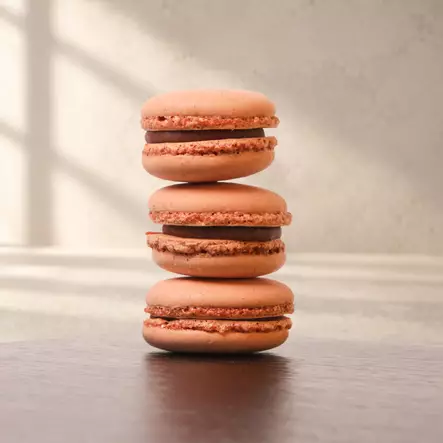 SUKLAA-MACARONLEIVOS - Macaron-leivokset - 6700 - 2