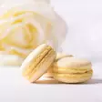 MACARON, WHITE LEMON 12KPL - Macaron-leivokset - 10812 - 3