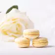 MACARON, WHITE LEMON 18KPL - Macaron-leivokset - 10813 - 1