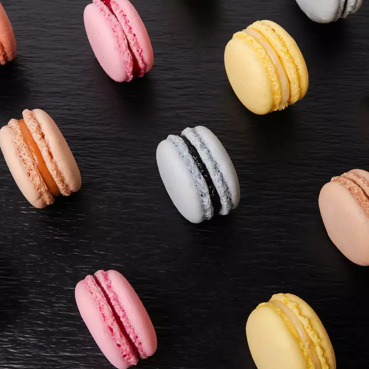 MACARON-LAJITELMA - Macaron-leivokset - 10828 - 1