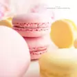 MACARON, VADELMA 12KPL - Macaron-leivokset - 10809 - 6